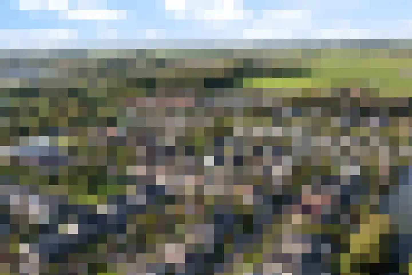 Tsjalk 15 Stiens thumbnail 51