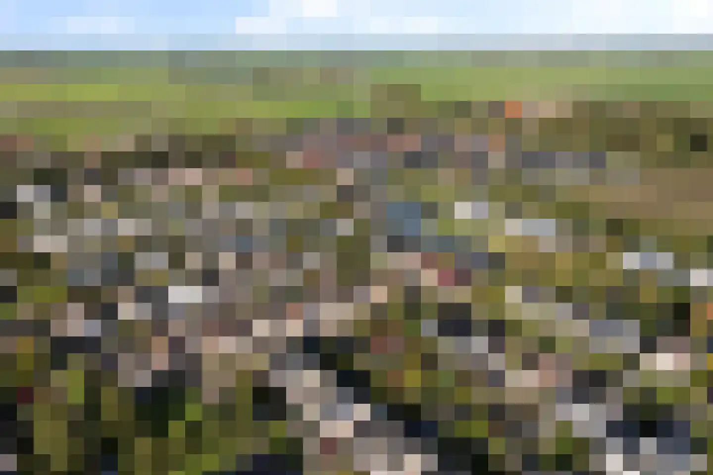 Tsjalk 15 Stiens thumbnail 52