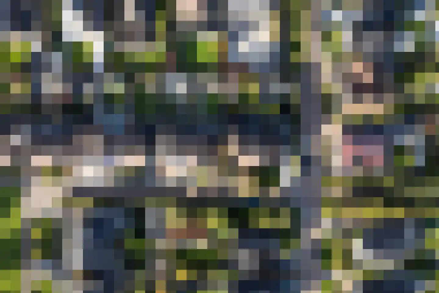 Tsjalk 15 Stiens thumbnail 53