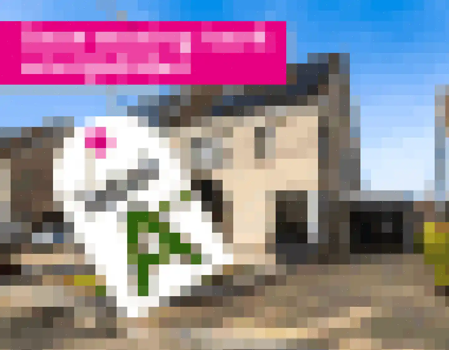 Tsjalk 15 Stiens thumbnail 55