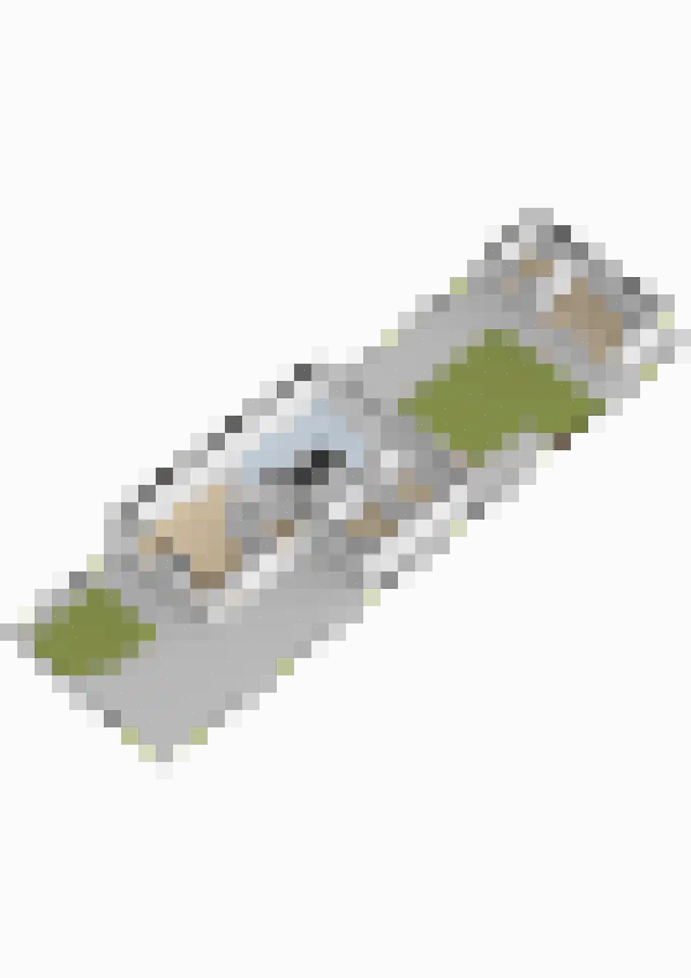 Tsjalk 15 Stiens thumbnail 65