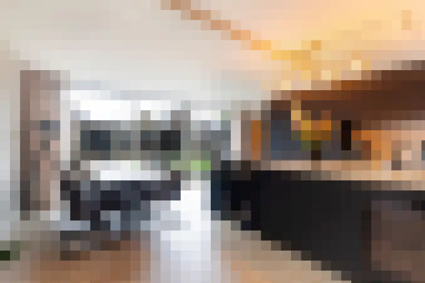 Tsjalk 15 Stiens thumbnail 9
