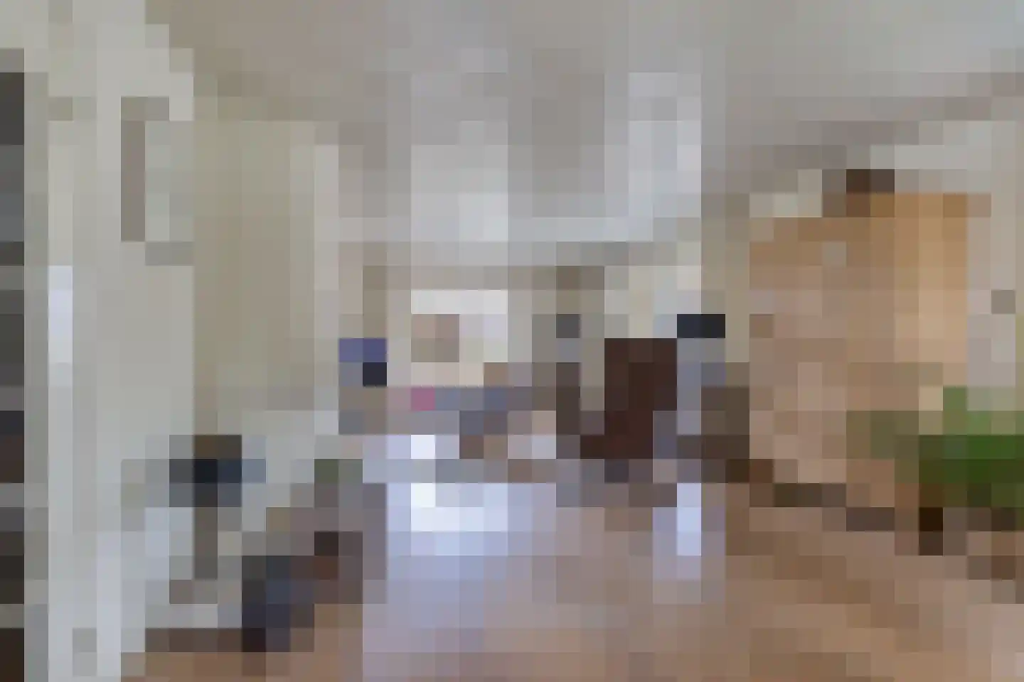 Tsjalk 6 Joure thumbnail 13