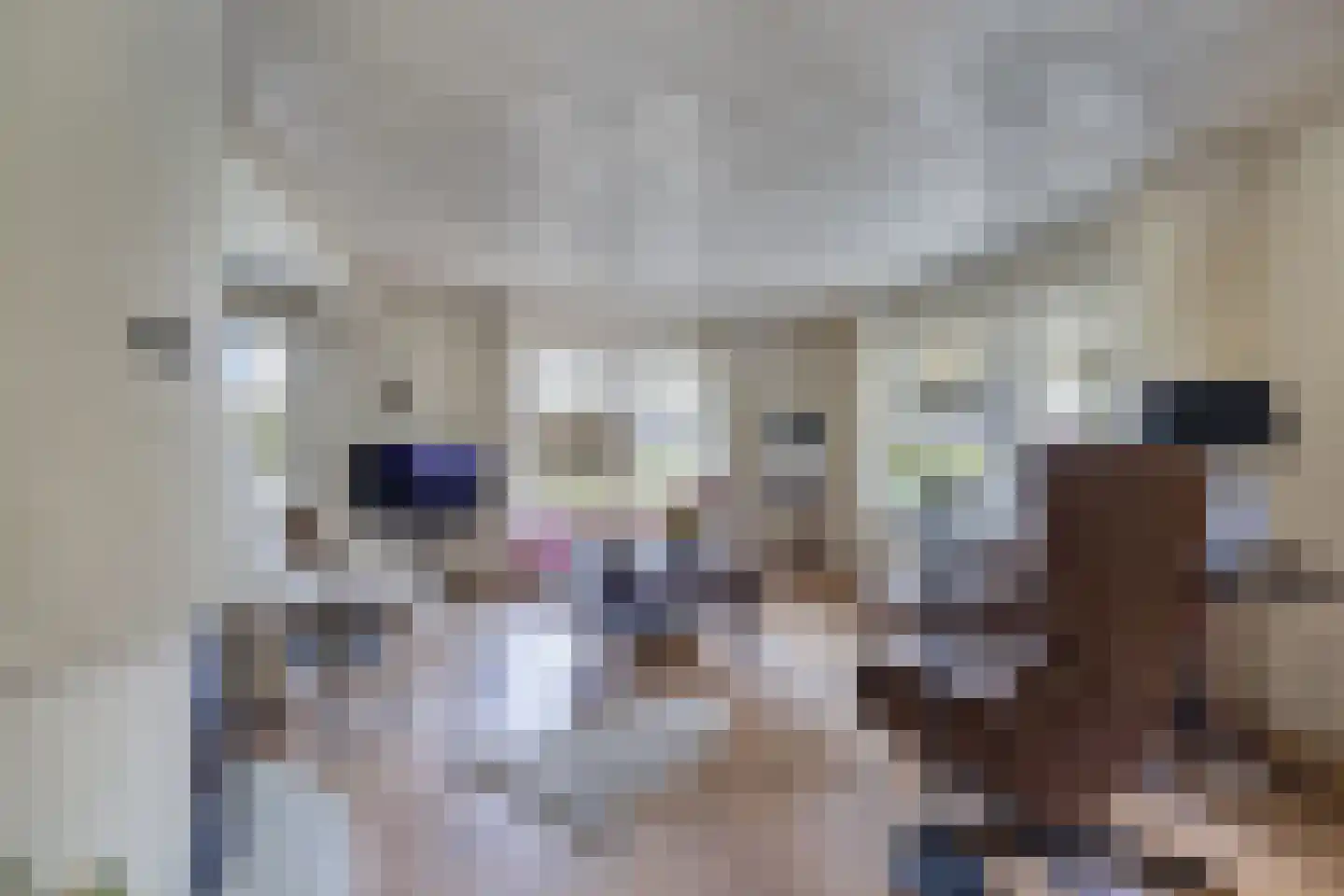 Tsjalk 6 Joure thumbnail 14