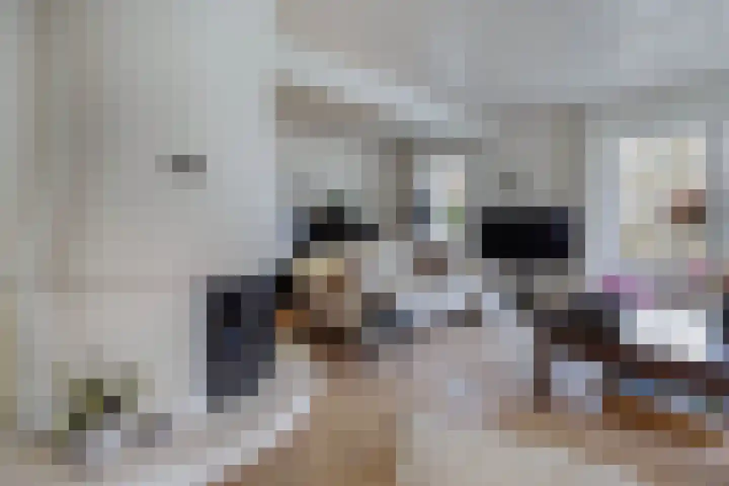 Tsjalk 6 Joure thumbnail 17