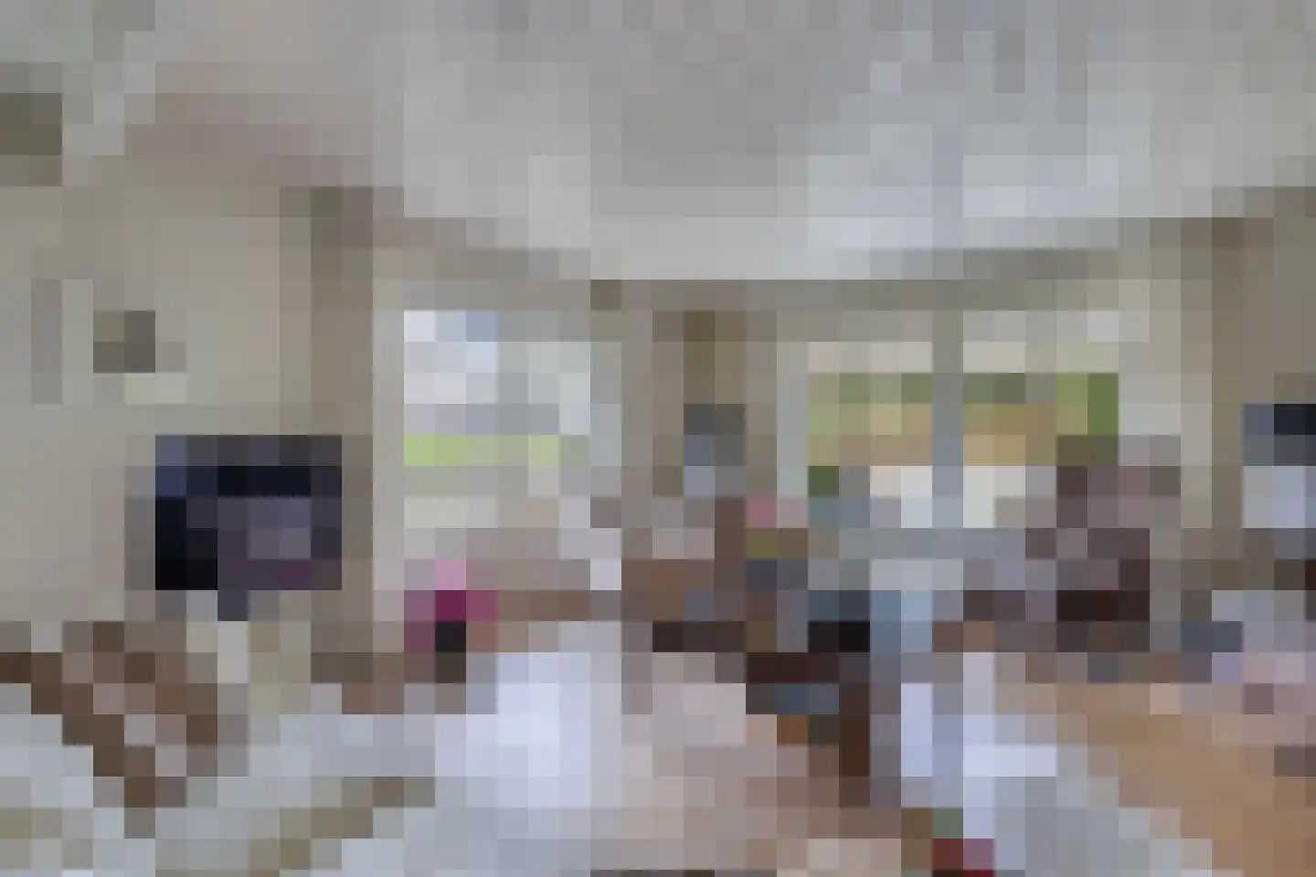 Tsjalk 6 Joure thumbnail 19