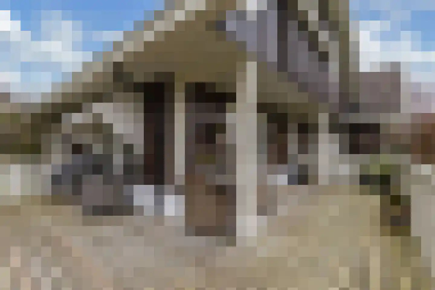 Tsjalk 6 Joure thumbnail 21