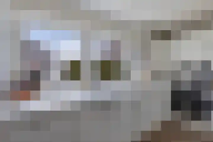 Tsjalk 6 Joure thumbnail 23