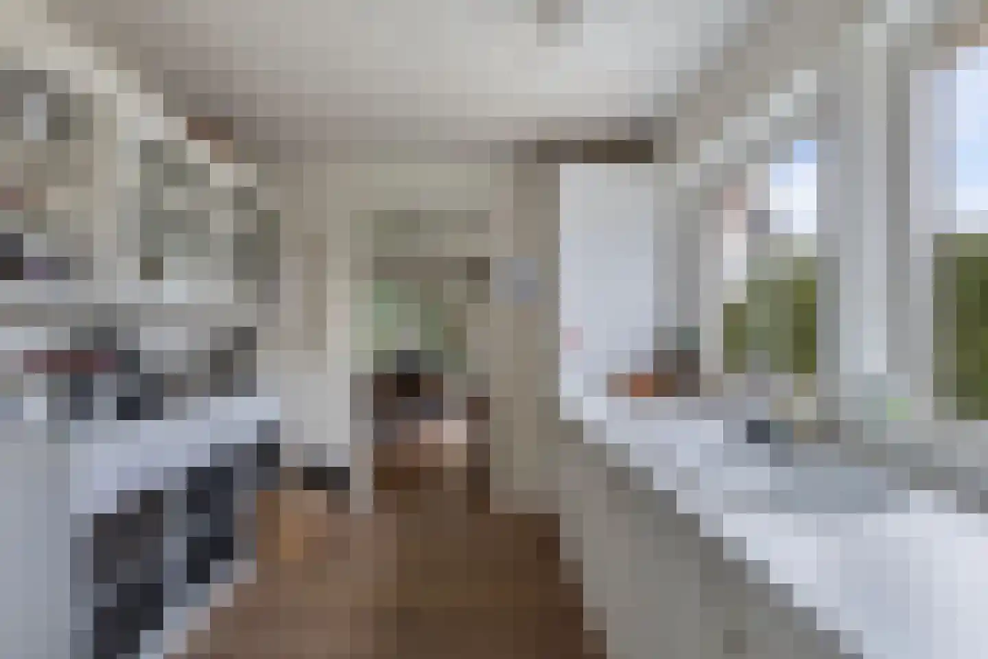 Tsjalk 6 Joure thumbnail 25