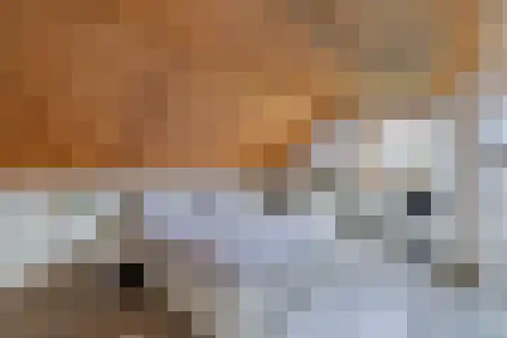 Tsjalk 6 Joure thumbnail 28