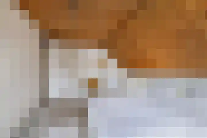 Tsjalk 6 Joure thumbnail 29
