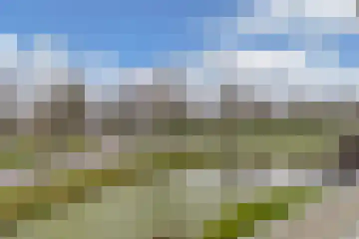 Tsjalk 6 Joure thumbnail 35