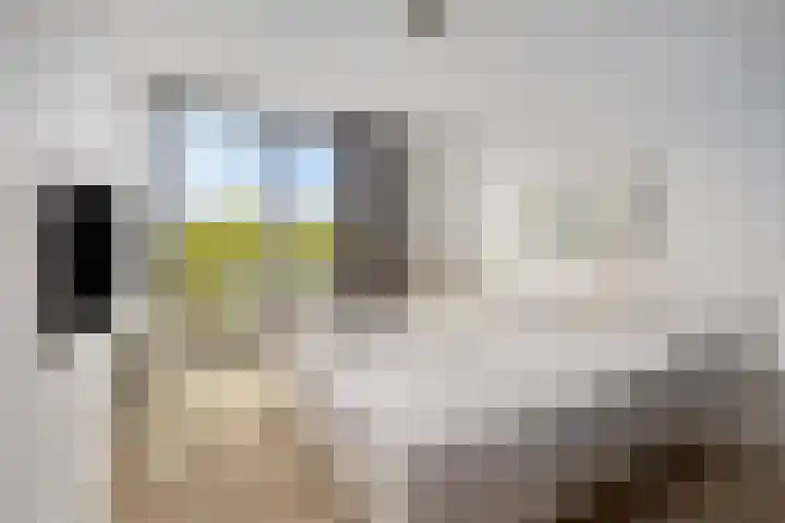 Tsjalk 6 Joure thumbnail 4
