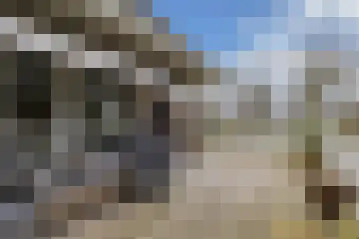 Tsjalk 6 Joure thumbnail 40