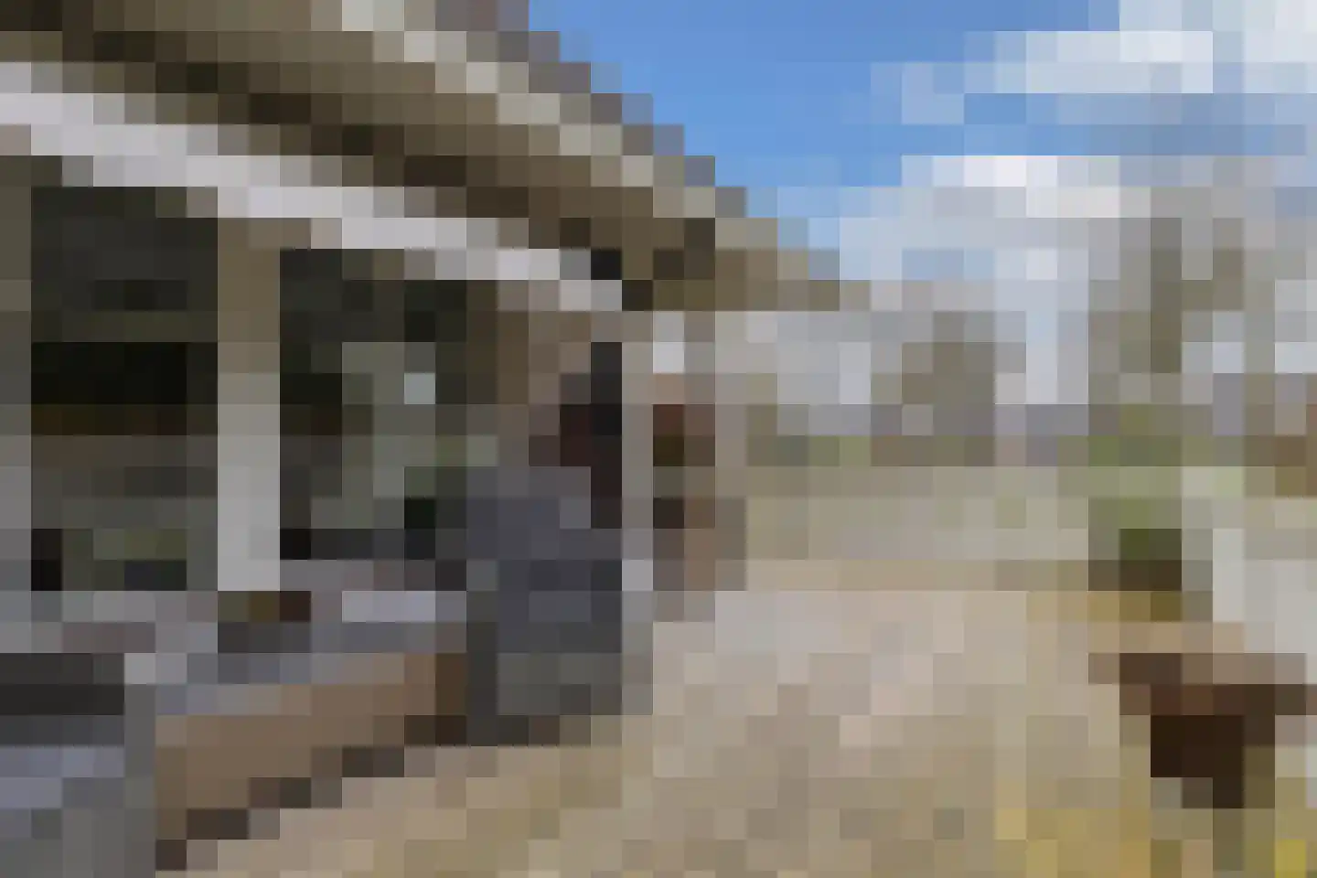 Tsjalk 6 Joure thumbnail 40
