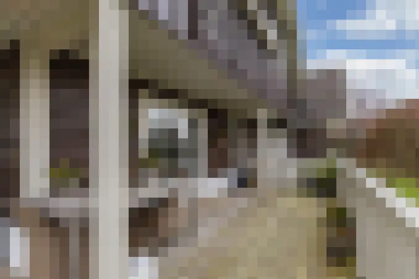 Tsjalk 6 Joure thumbnail 41