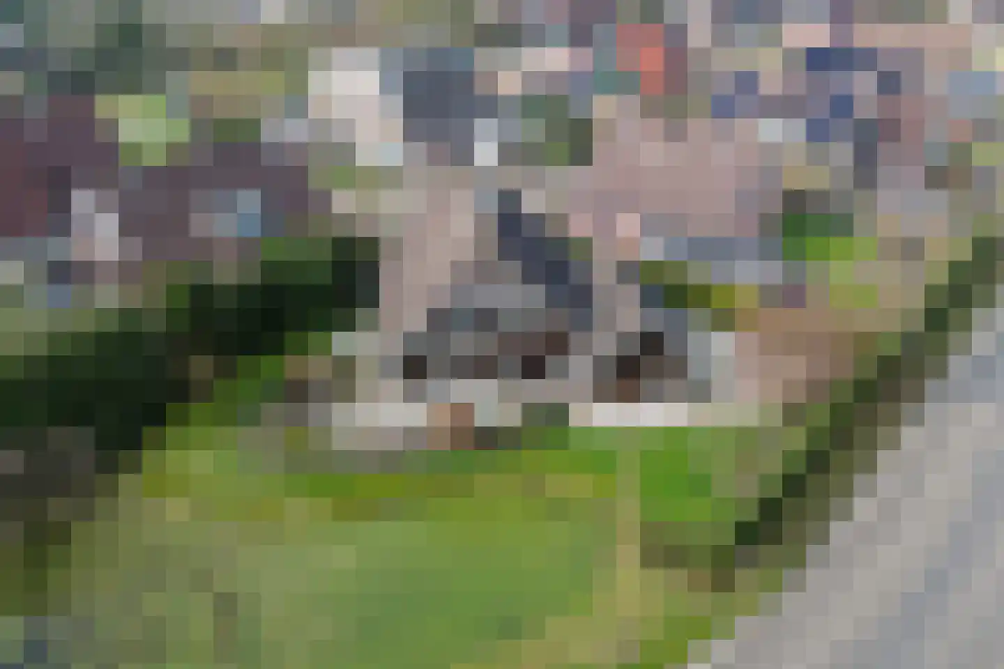Tsjalk 6 Joure thumbnail 47