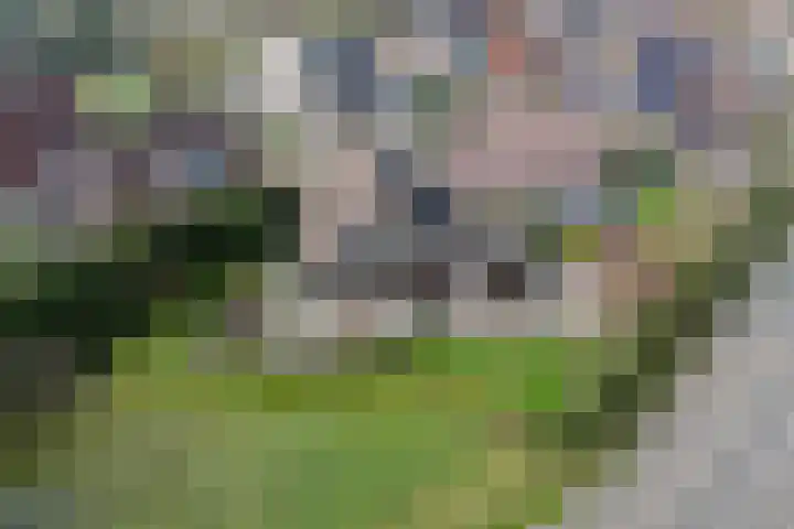 Tsjalk 6 Joure thumbnail 48
