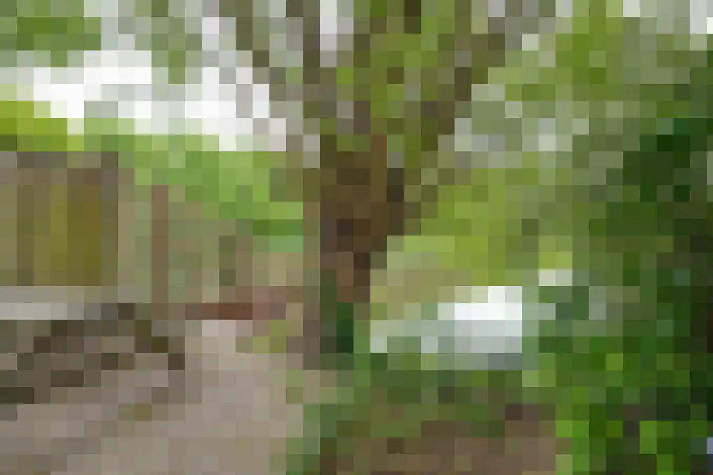 Tsjalk 6 Joure thumbnail 52