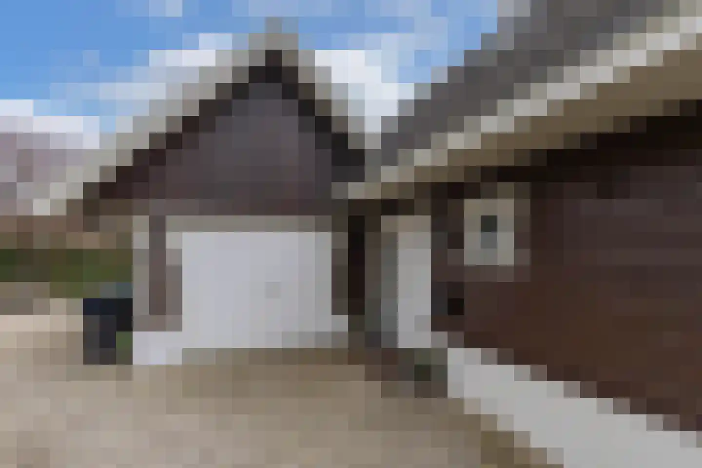 Tsjalk 6 Joure thumbnail 8