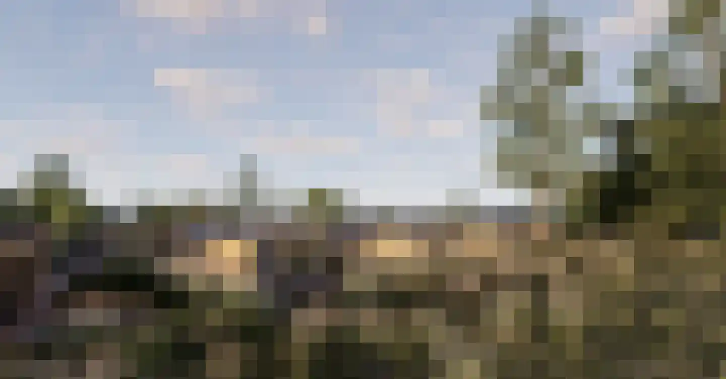 Tsjamkedykje 6 K70 Balk thumbnail 10