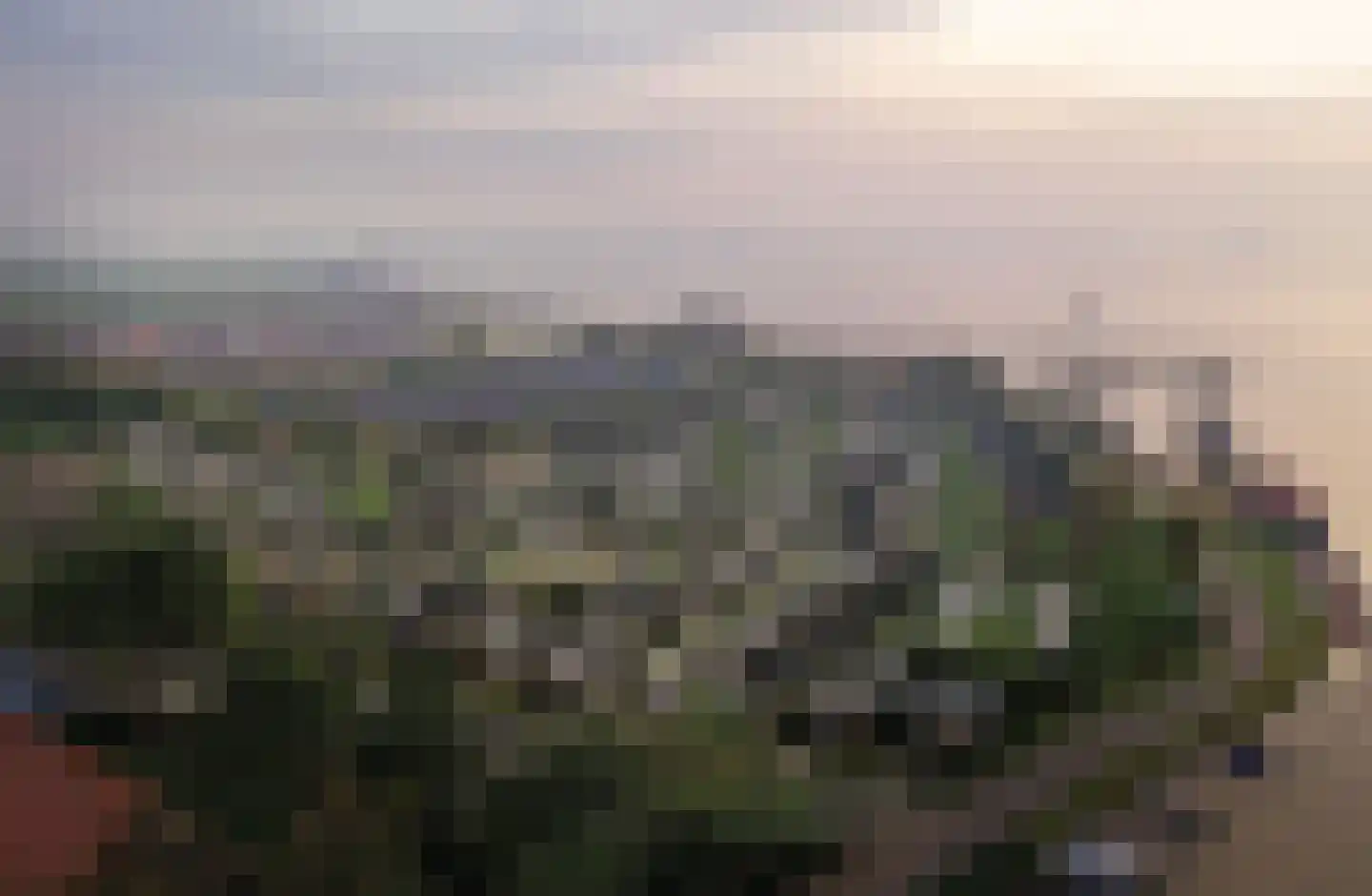 Tsjamkedykje 6 K70 Balk thumbnail 11