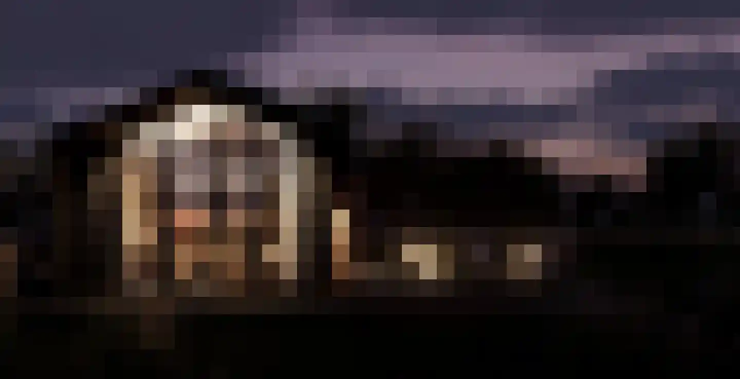 Tsjamkedykje 6 K70 Balk foto 2
