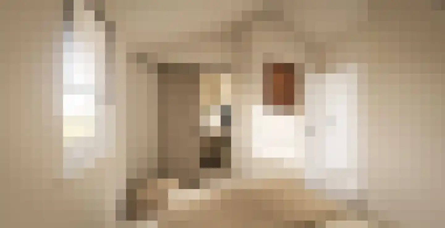 Tsjamkedykje 6 K70 Balk thumbnail 6
