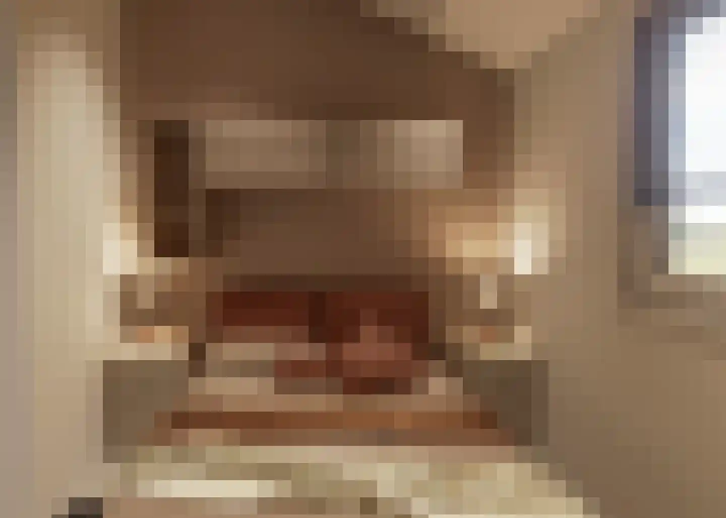 Tsjamkedykje 6 K70 Balk thumbnail 7