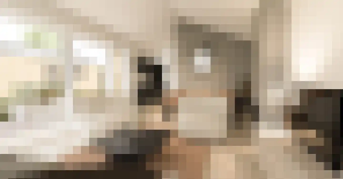Tsjamkedykje 6 K70 Balk thumbnail 8