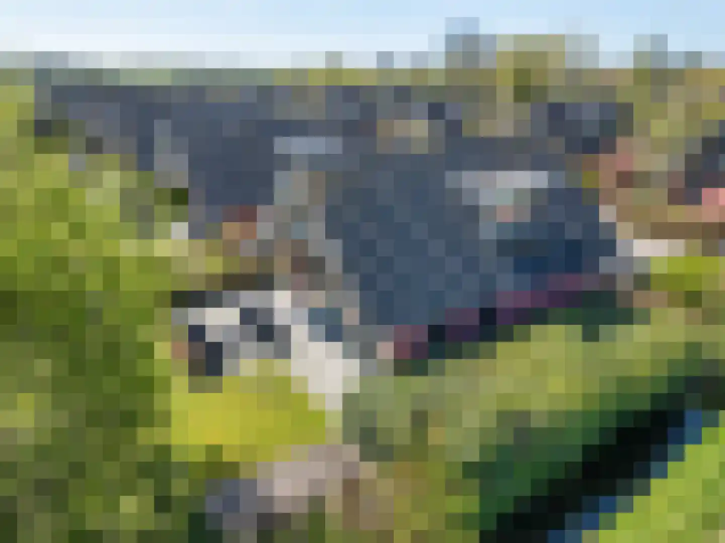 Tsjamkedykje 8 1 dans Balk