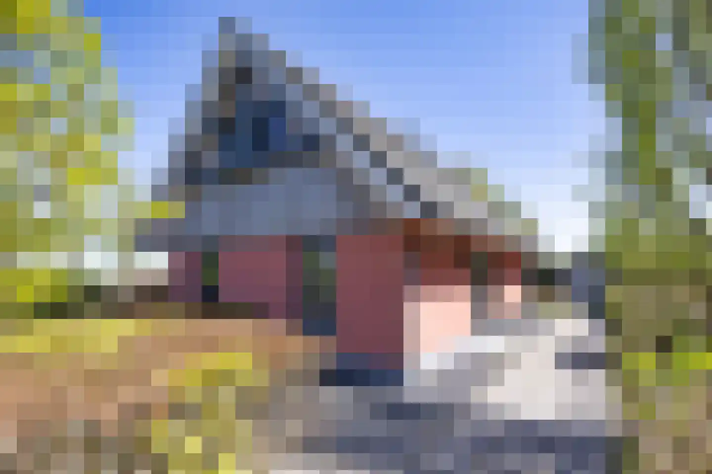 Tsjamkedykje 8 1 Balk thumbnail 12
