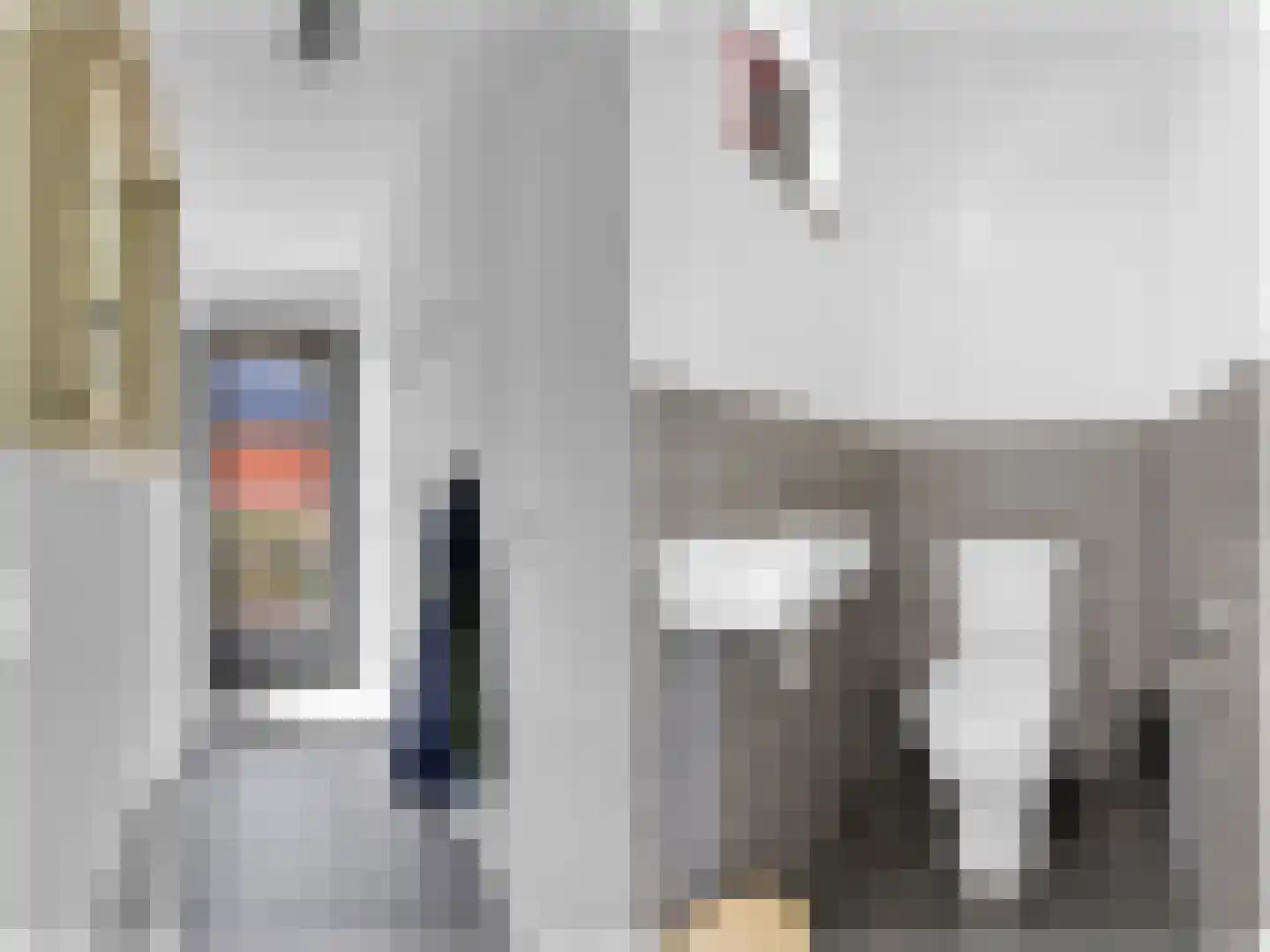 Tsjamkedykje 8 1 Balk thumbnail 14