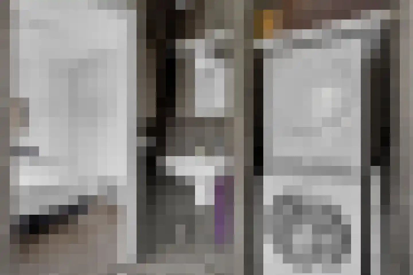 Tsjamkedykje 8 1 Balk thumbnail 17