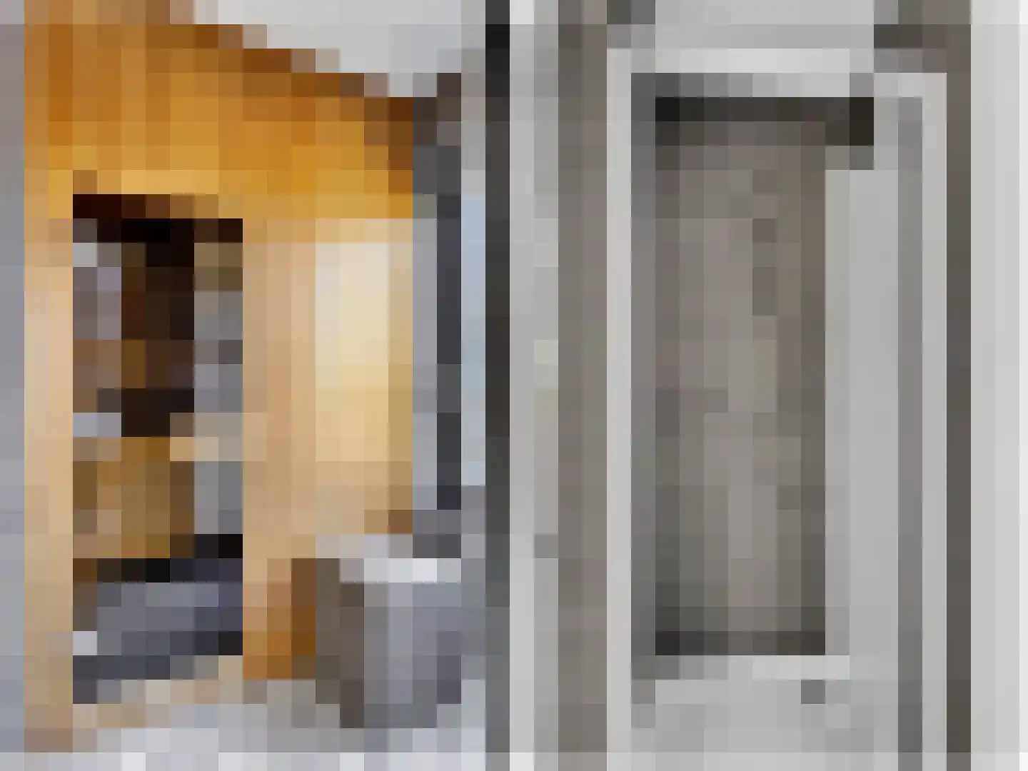 Tsjamkedykje 8 1 Balk thumbnail 18