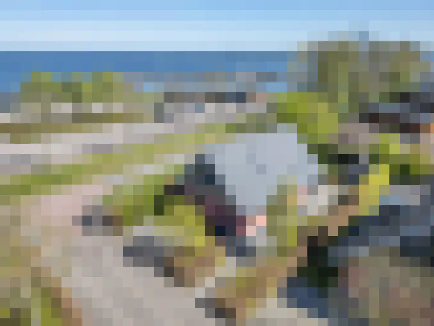 Tsjamkedykje 8 1 Balk foto 2