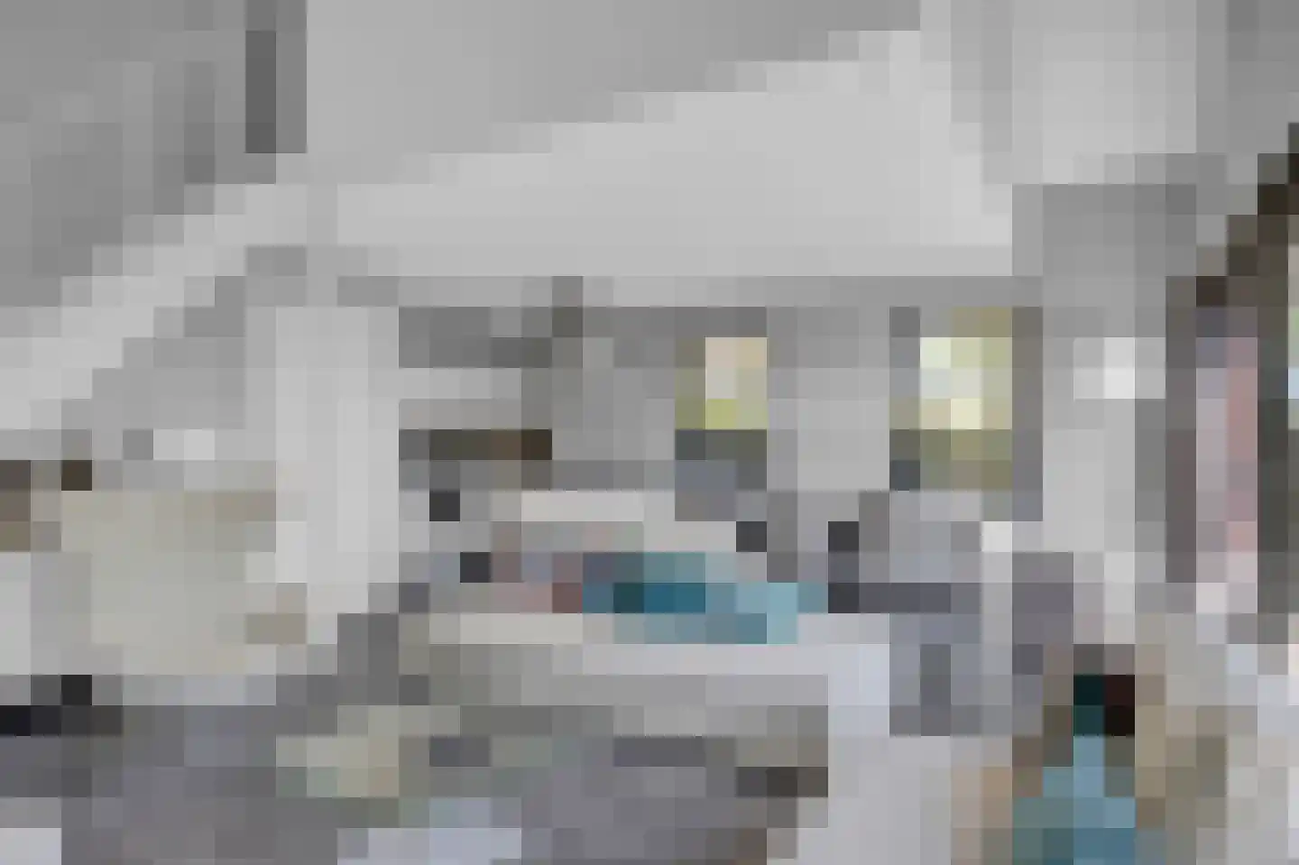 Tsjamkedykje 8 1 Balk thumbnail 20