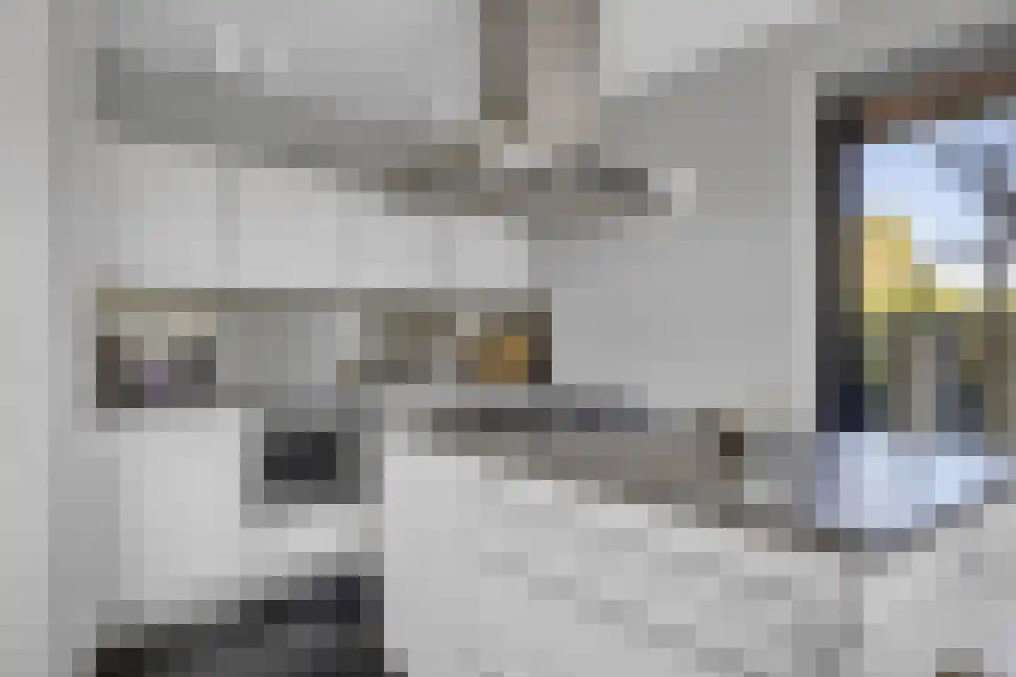 Tsjamkedykje 8 1 Balk thumbnail 21