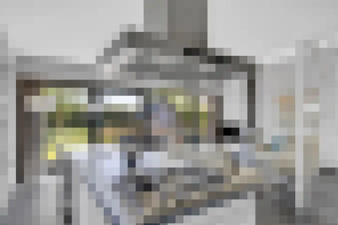 Tsjamkedykje 8 1 Balk thumbnail 22