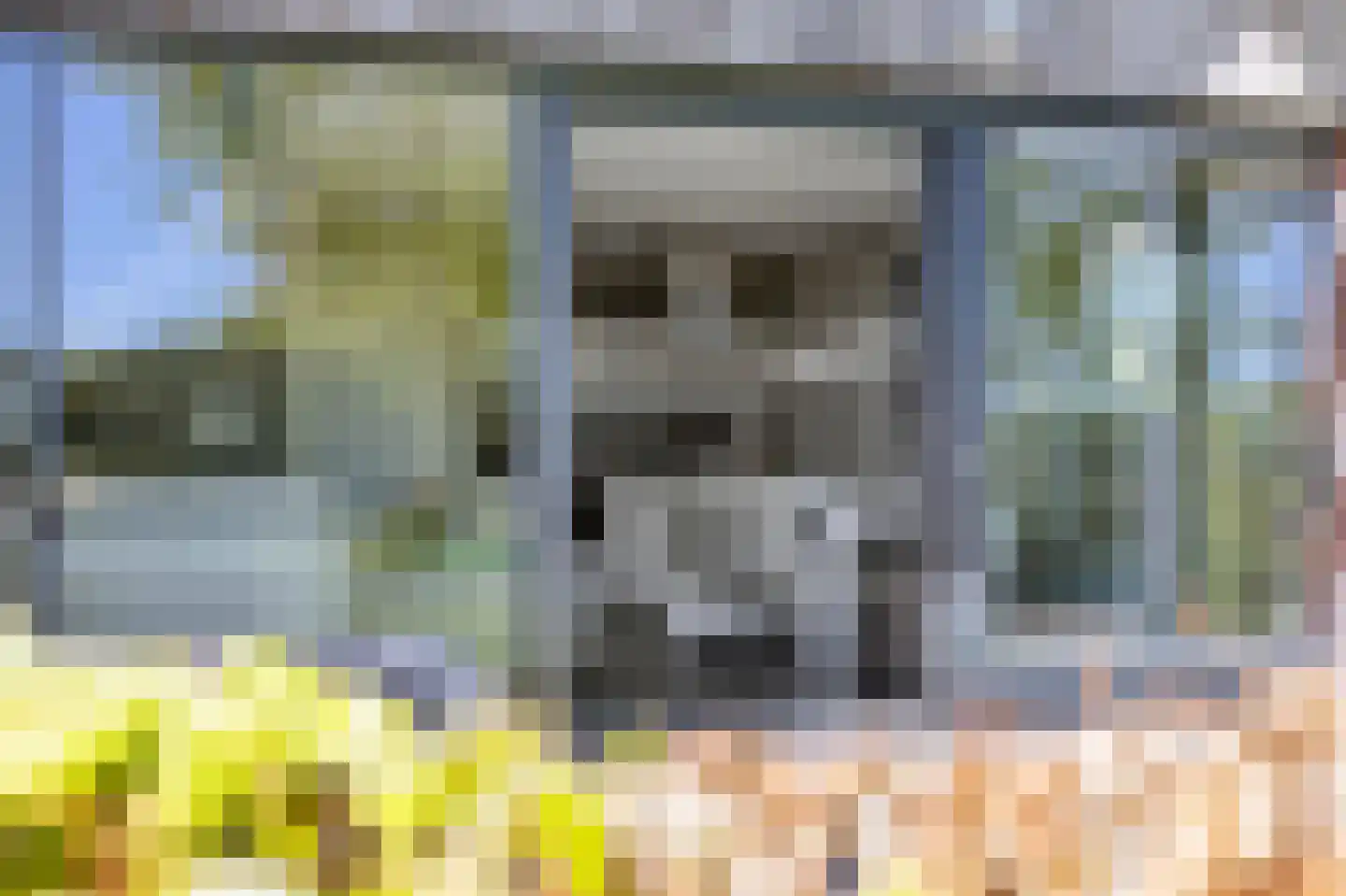 Tsjamkedykje 8 1 Balk thumbnail 27