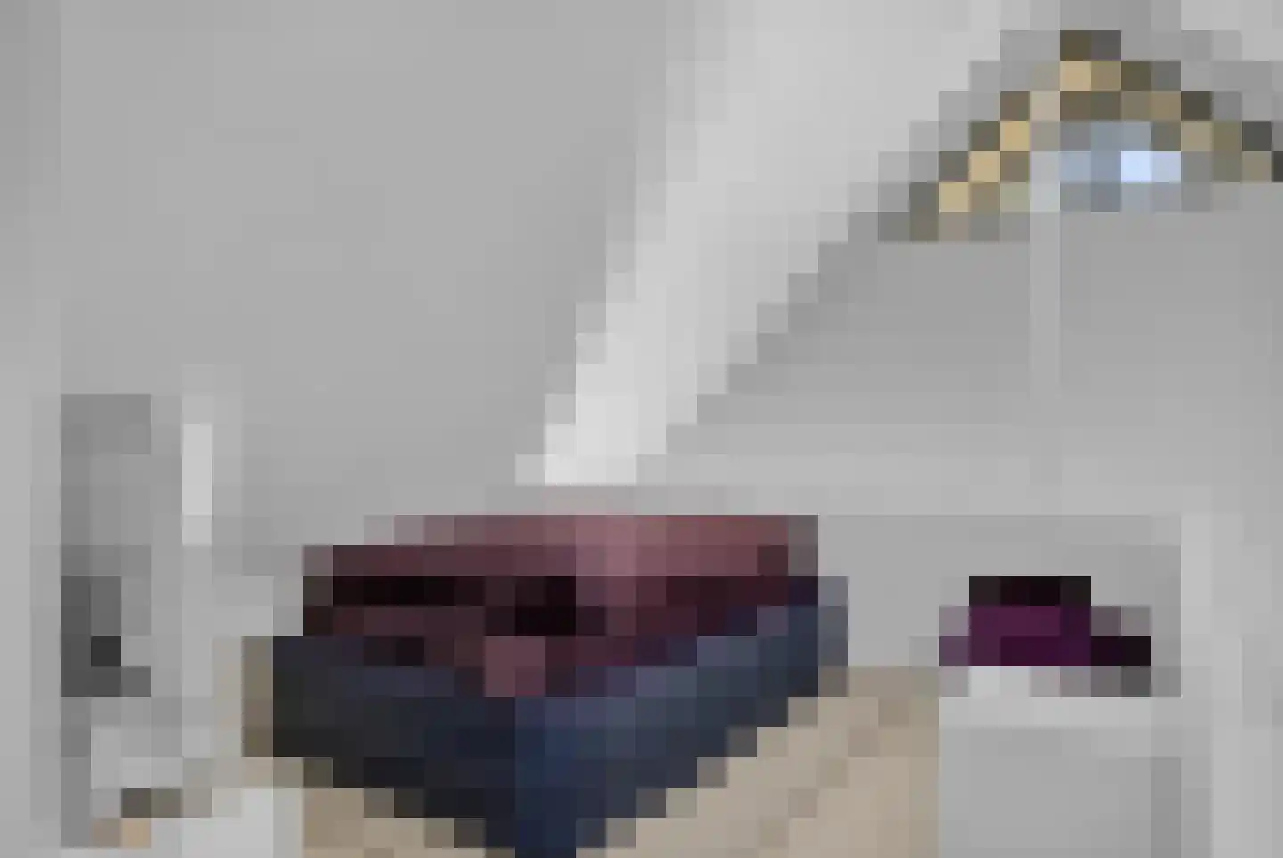 Tsjamkedykje 8 1 Balk thumbnail 30
