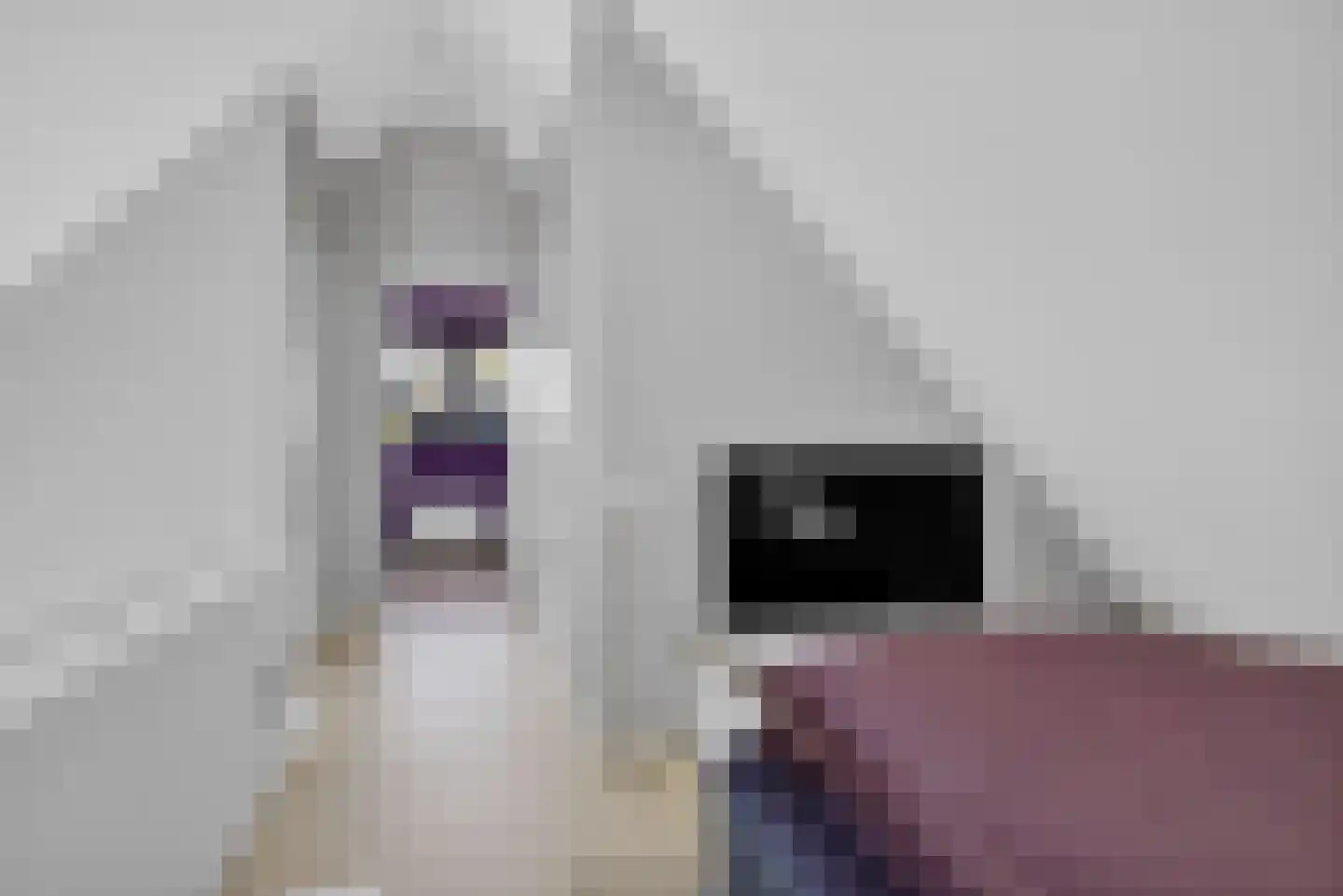Tsjamkedykje 8 1 Balk thumbnail 31