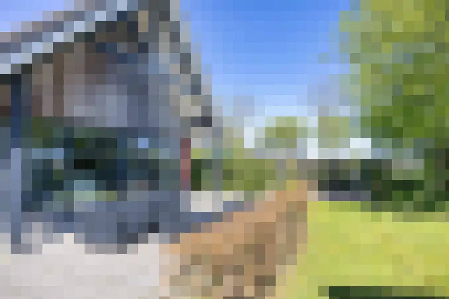 Tsjamkedykje 8 1 Balk thumbnail 40
