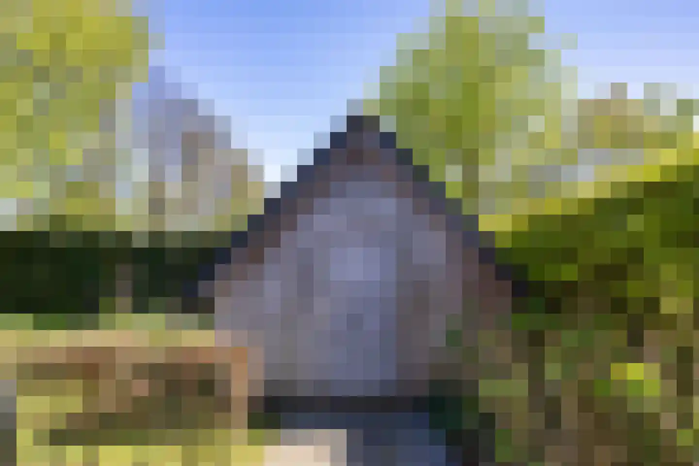 Tsjamkedykje 8 1 Balk thumbnail 43