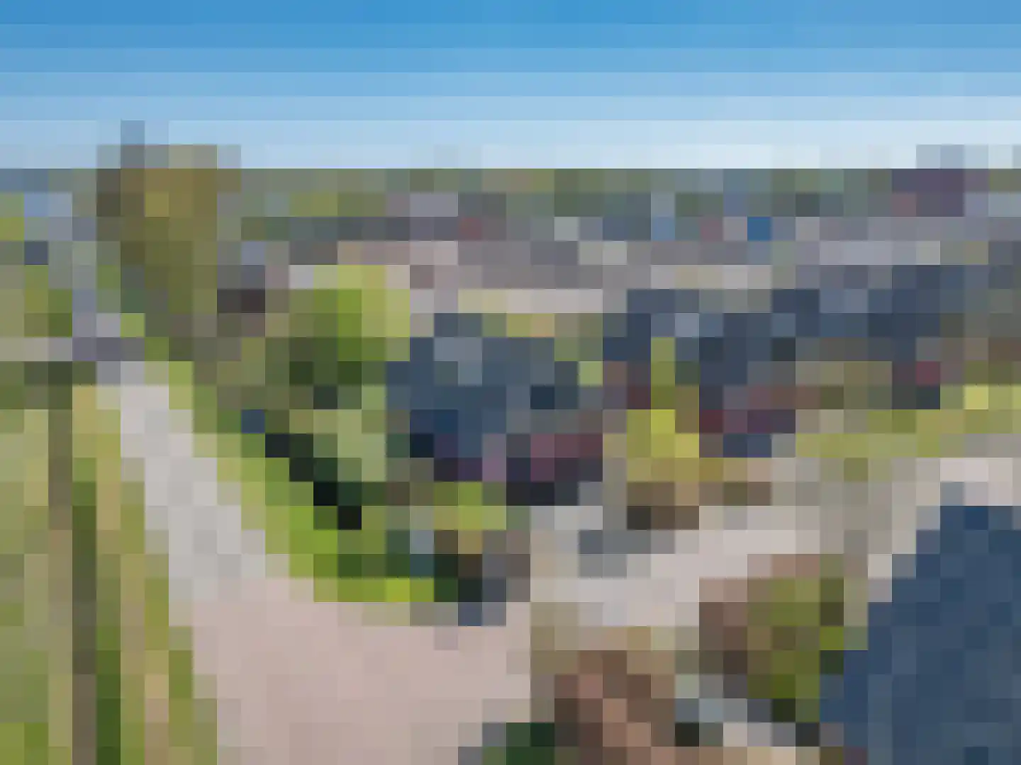Tsjamkedykje 8 1 Balk thumbnail 49