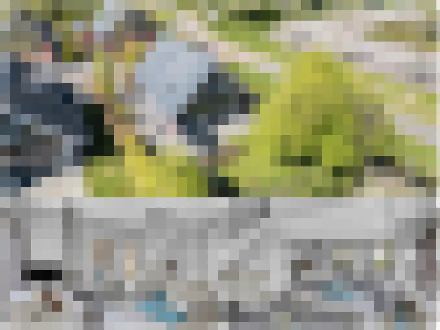 Tsjamkedykje 8 1 Balk thumbnail 5