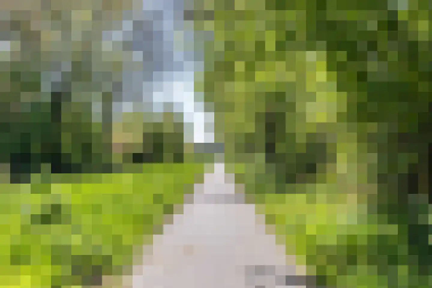Tsjamkedykje 8 1 Balk thumbnail 51