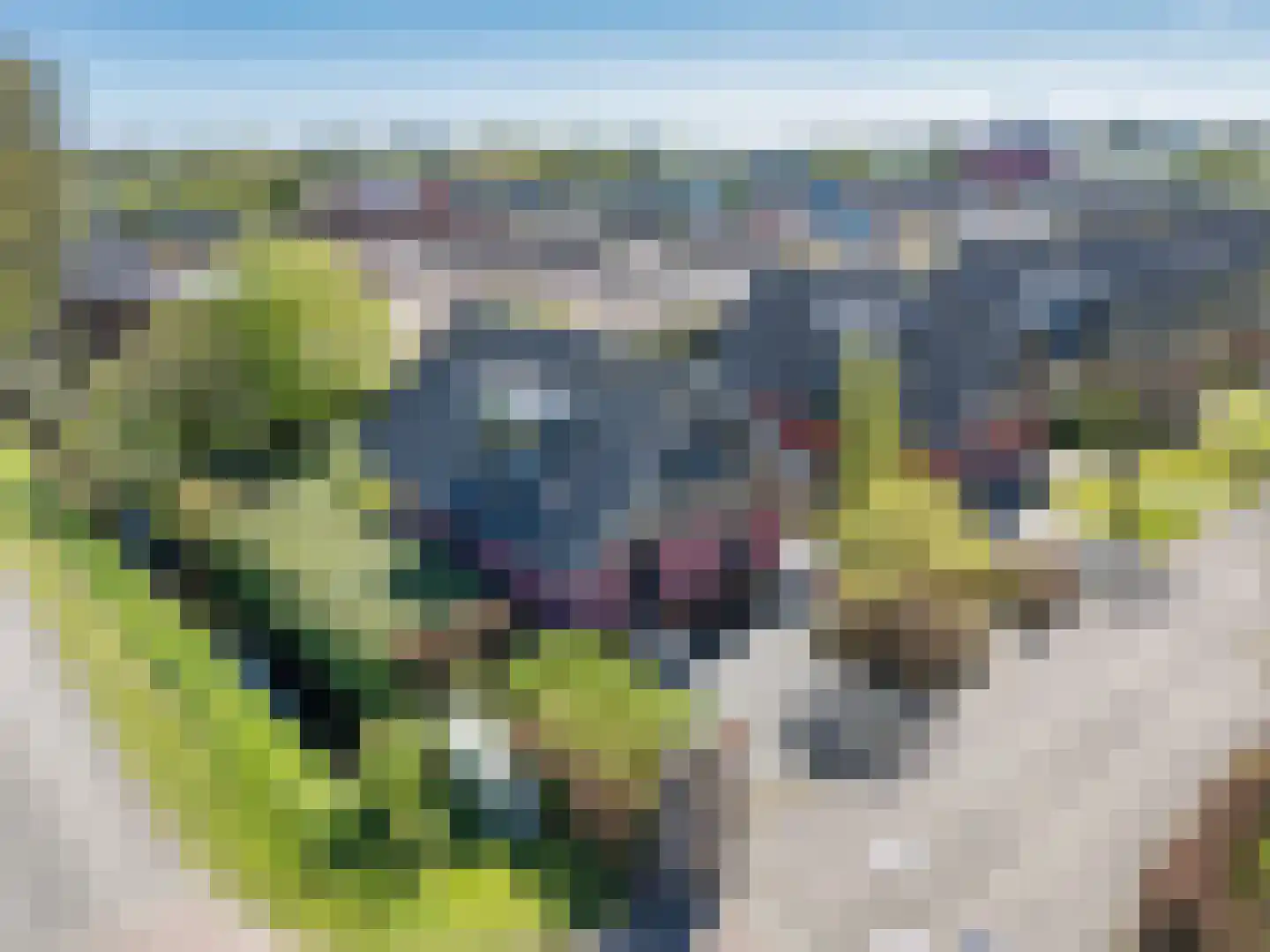 Tsjamkedykje 8 1 Balk thumbnail 8