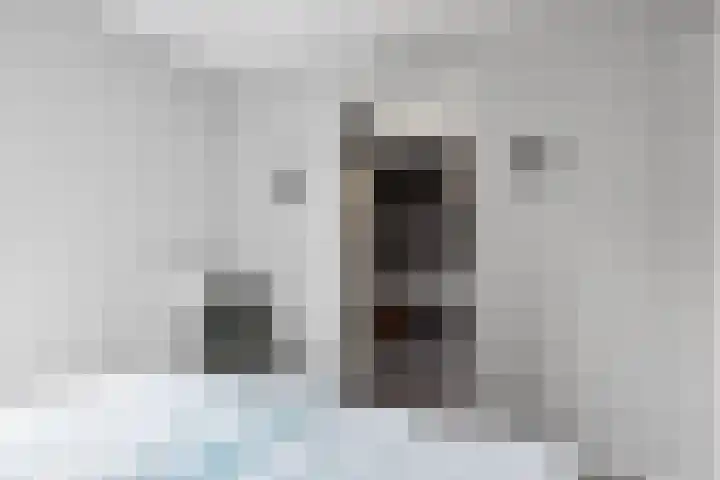 Tsjamkedykje 8 18 Balk thumbnail 10