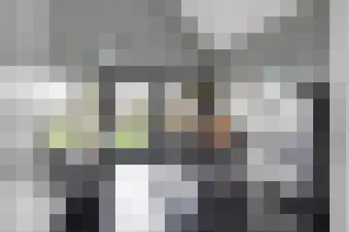 Tsjamkedykje 8 18 Balk thumbnail 14